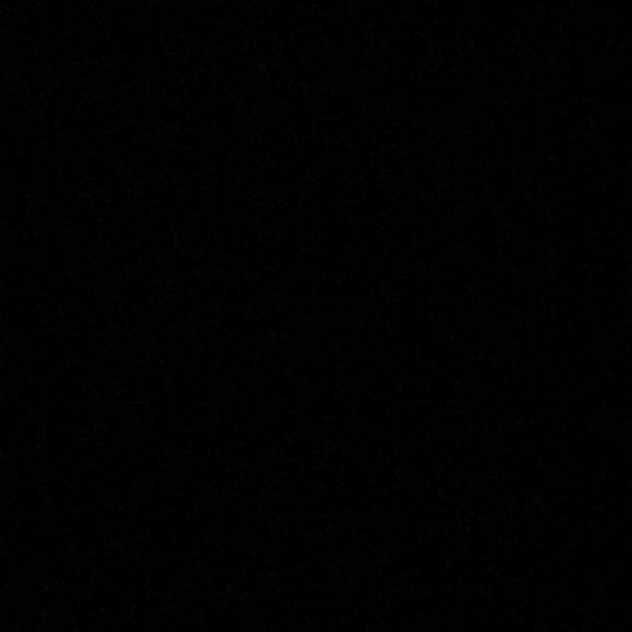 Meet your Posher, Taylor - Picture 1 of 1